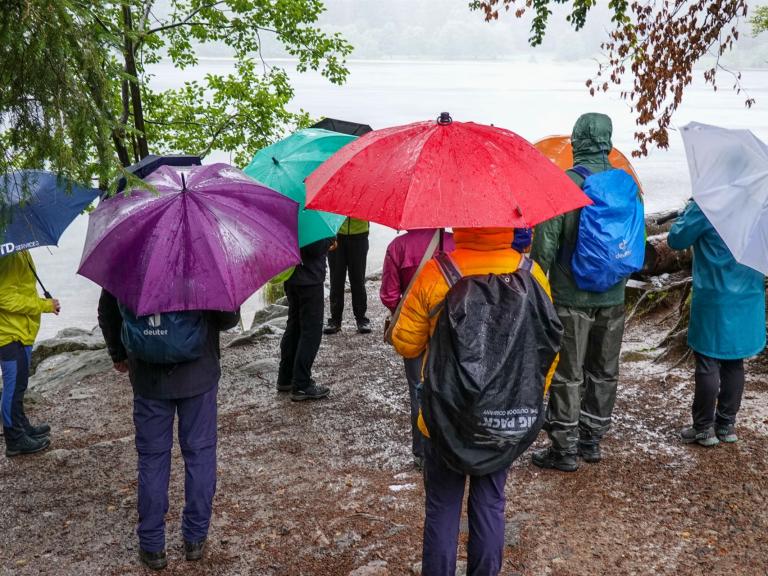 Bunte Regenschirme am Feldsee