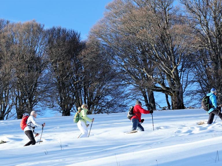 Gruppe beim Schneeschuhwandern durch verschneite Winterlandschaft am Schauinsland mit klarer Sicht und kahlen Schwarzwald-Buchen
