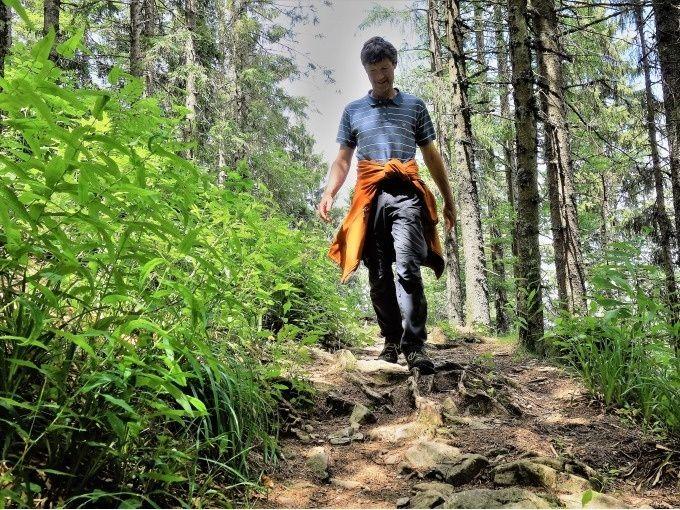 Wanderer auf waldigem Pfad bei der Halbmarathon-Wanderung durch den Schwarzwald Richtung St. Peter