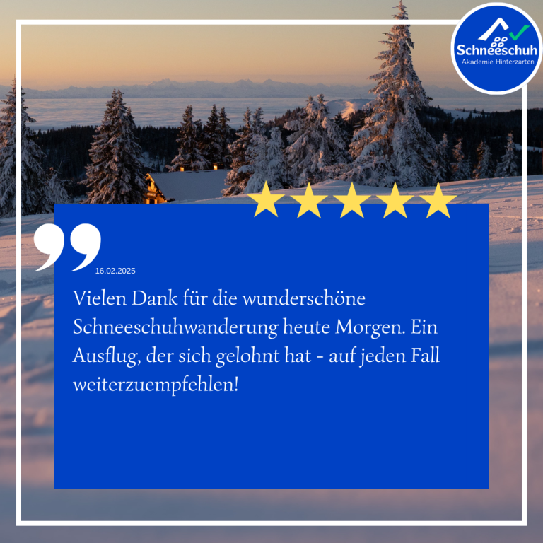 Schneelandschaft und Alpenblick