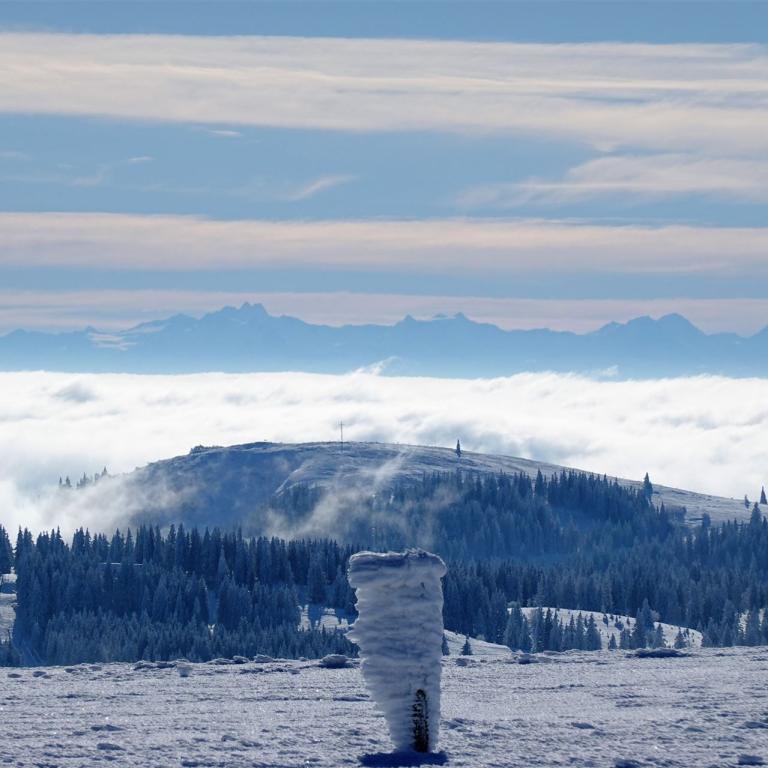 Winterlandschaft mit Alpenpanorama