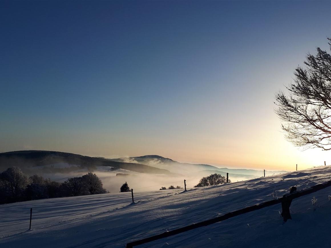 Winterlandschaft mit Nebel und Gegenlicht