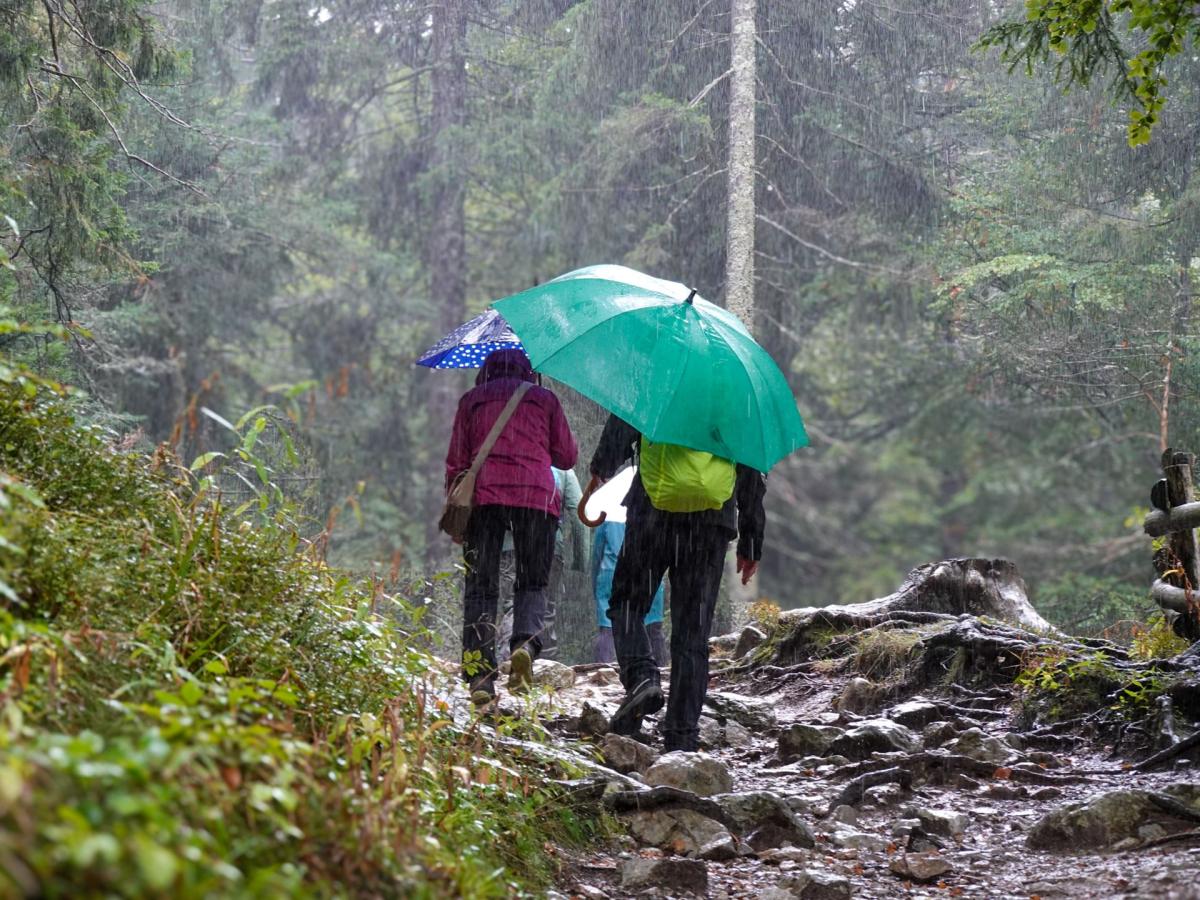 Wanderer im Regen am Feldberg