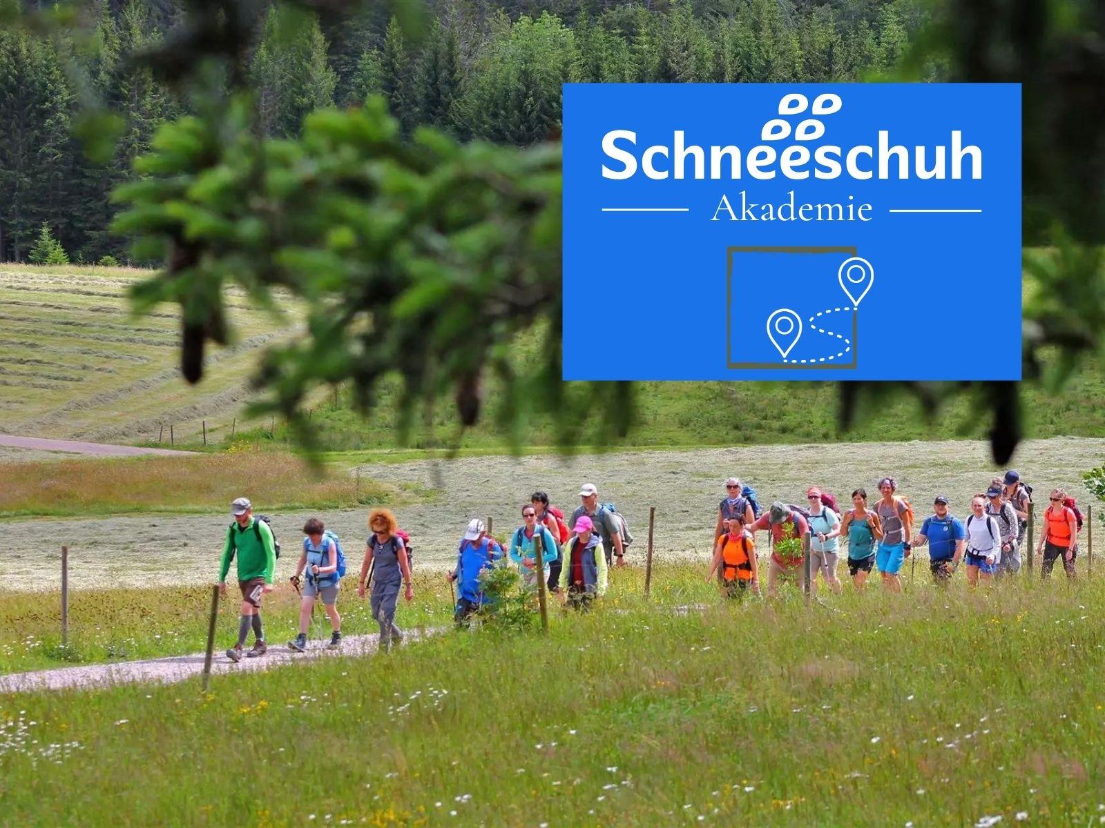 Eine Gruppe von Menschen wandert zusammen auf einem Pfad durch eine weite, grüne Wiesenlandschaft.