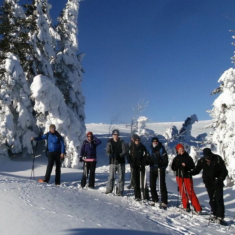 Schneeschuhwandergruppe Schwarzwald