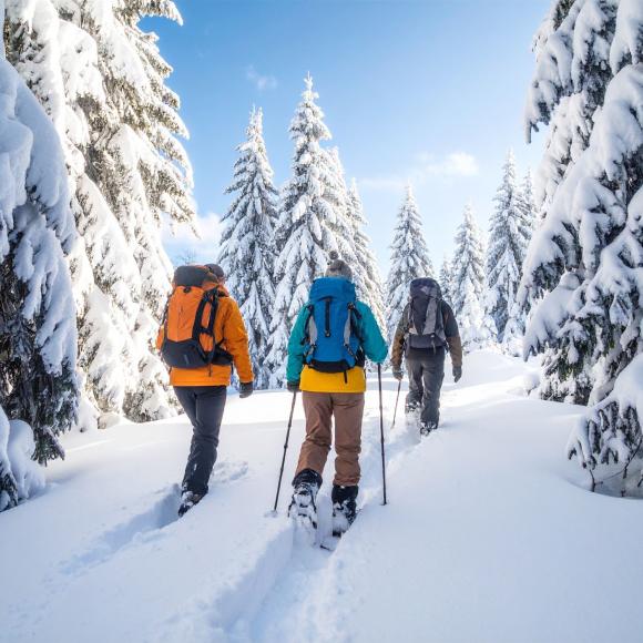 Geführte Schneeschuhwanderung im Schwarzwald mit Hüttenpause für Gruppen