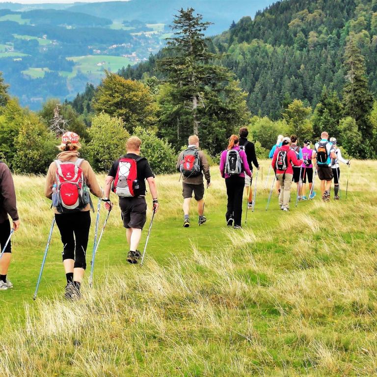 Wandergruppe mit Walkingstöcken