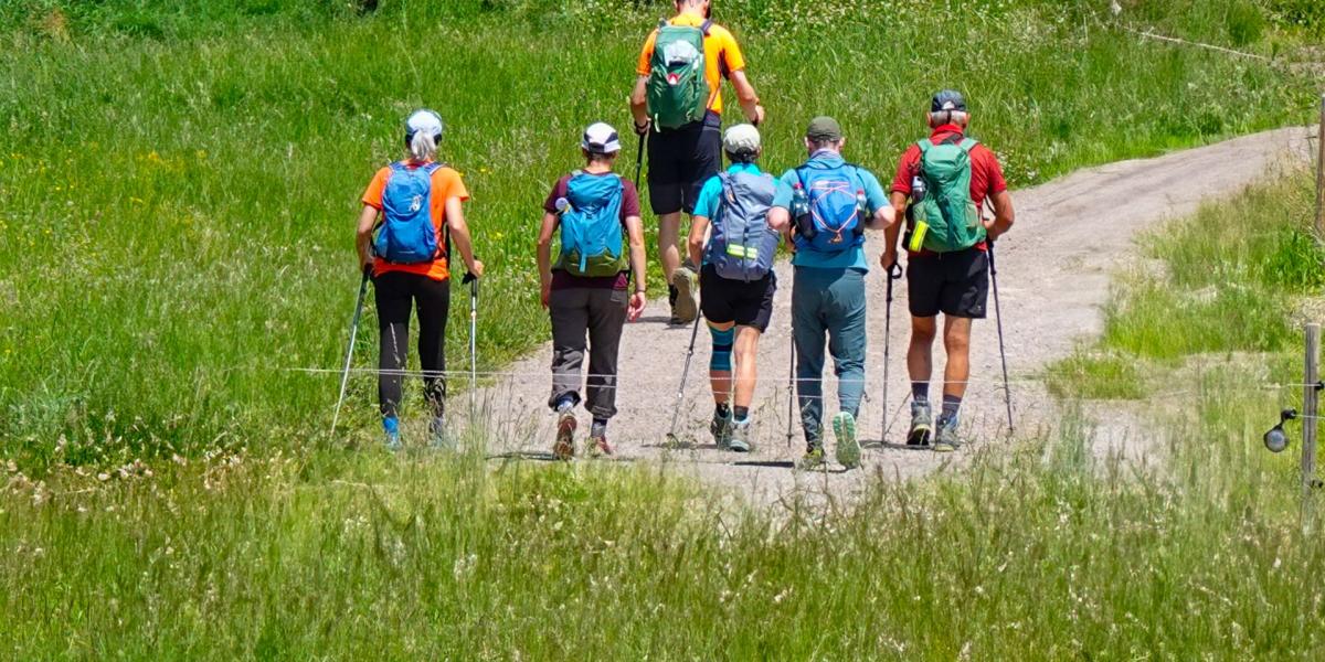 Wandergruppe auf Weg
