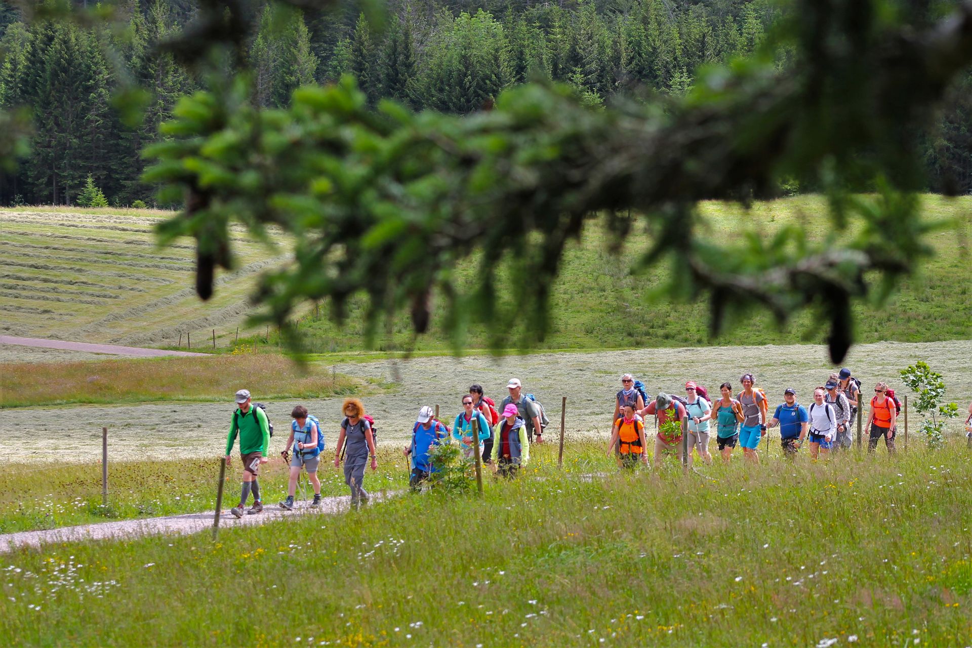 Bunte Wandergruppe mit Wiese