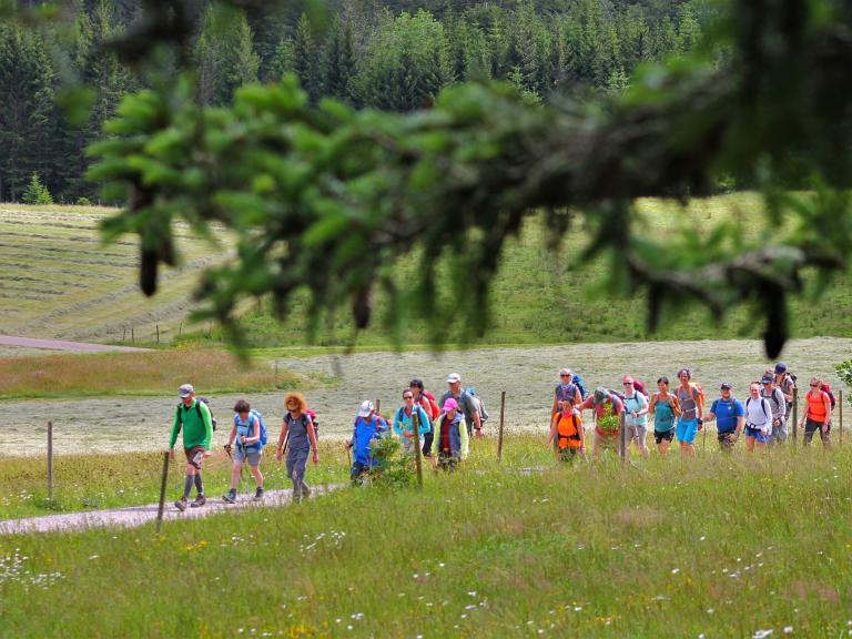Bunte Wandergruppe mit Wiese