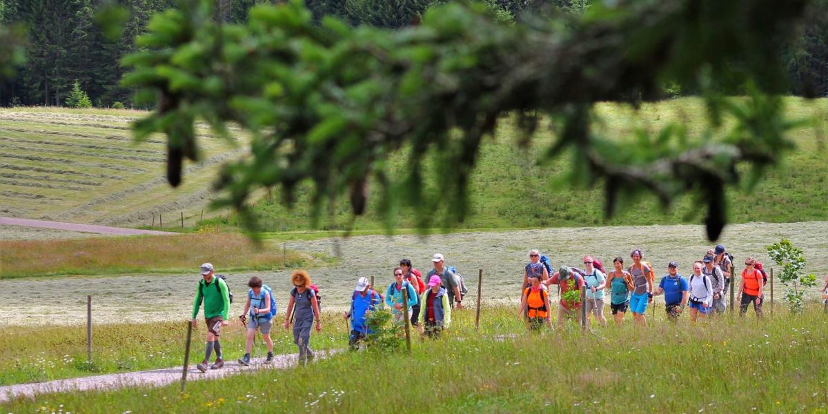 Bunte Wandergruppe mit Wiese