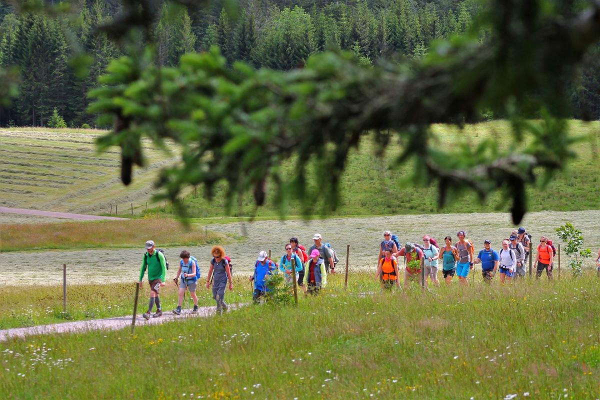 Bunte Wandergruppe mit Wiese